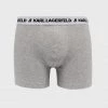 Ανδρικά Μπόξερ και σλιπ Μποξεράκια Karl Lagerfeld χρώμα: γκρι 1 Ανδρικά Μπόξερ και σλιπ Μποξεράκια Karl Lagerfeld χρώμα: γκρι -Karl Lagerfeld Εκπτώσεις unnamed file 2908